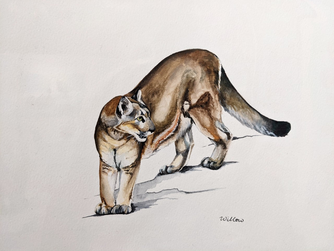 The Descent, Mountain Lion